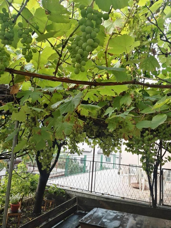 Apartment Panorama Saraybosna Dış mekan fotoğraf